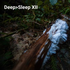 Deep>Sleep XII