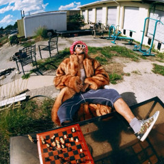 fun or nah prod bina