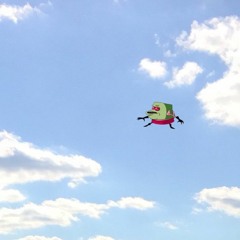 i'm not making the rules.