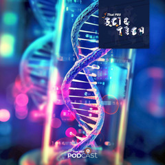 Sci & Tech 2023 EP. 764: พันธุศาสตร์ไฟฟ้า แนวทางใหม่ในการรักษาโรคเบาหวาน