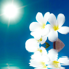 Nobody’s child- Kapena