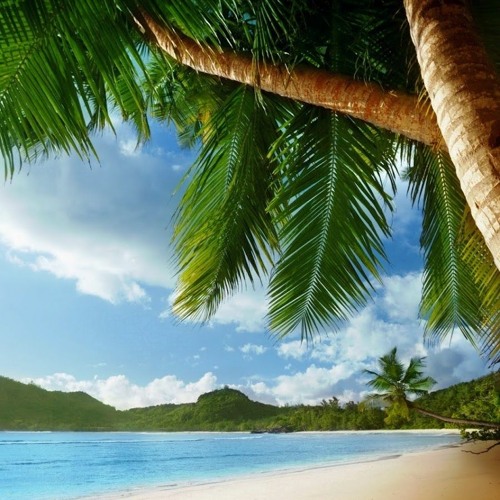 Stream flockin,kodak remove background +FREE DOWNLOAD+ by Bbass Music ...