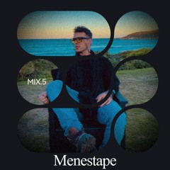 Menestape #05 (house & indie dance)