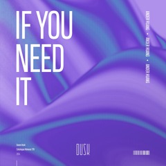 Ander Huang - If You Need It