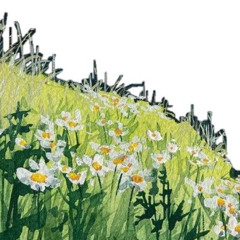 conversations (1morfina)