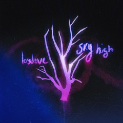 Sky High