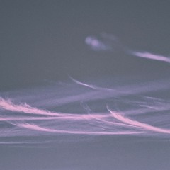 Reverse (Prod. Shades X Alsbeatz)