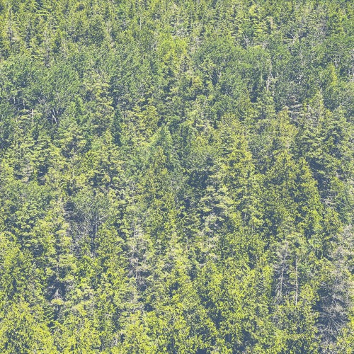 Outsiders: Marionette w/ grimwig @ Kiosk Radio 10.07.2025