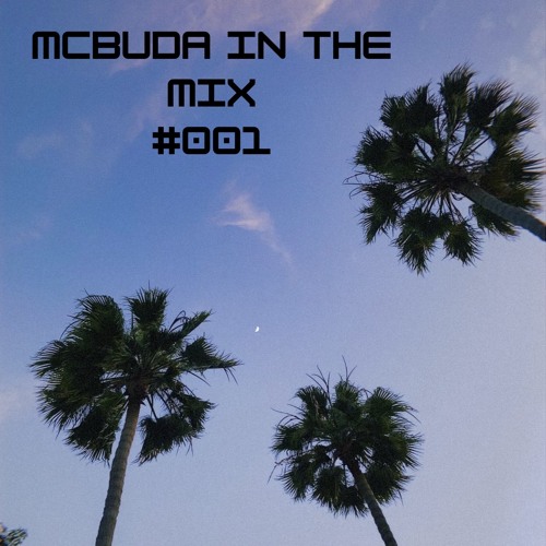mcbuda in the mix - #001