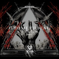 PREMIERE | DREY - Acid Algorithm [SYSTOLIC]