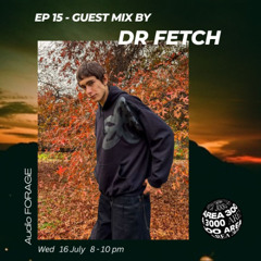 Audio Forage ep 15 - guest mix by Dr Fetch