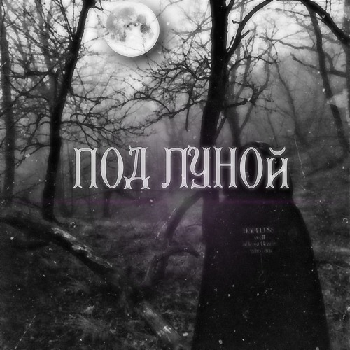 под лʏнои ( prod. vipex/severalparticles )