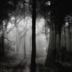 CHICKEN STEPS // FIRST ARSCH