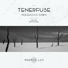 Tenerfuse - Perseidian Dawn (Original Mix) [Another Life Music]