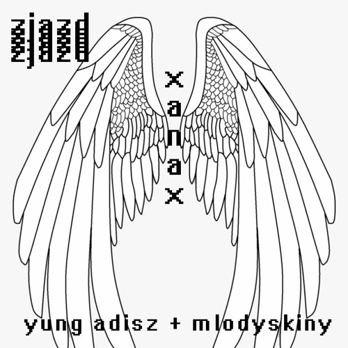 Zjazd Feat Mlodyskiny