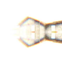 I'm Colossus (Reworked)