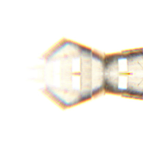 I'm Colossus (Reworked)