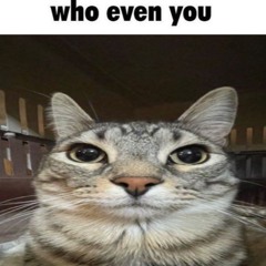 trxgyc - who even you