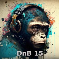 DnB 15