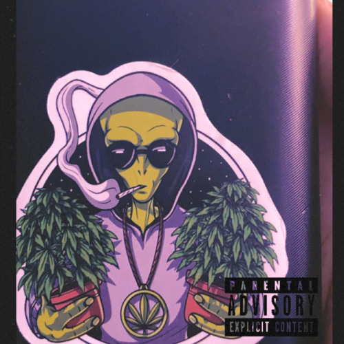 Fiesta part 2 remix (prod.velli)