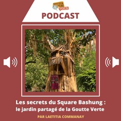 Les secrets du Square Bashung : le jardin partagé de la Goutte Verte