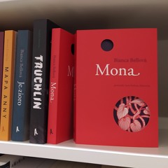 „Mona” – nowość od Wydawnictwa Afera | Odc. 31. „W księgarni”