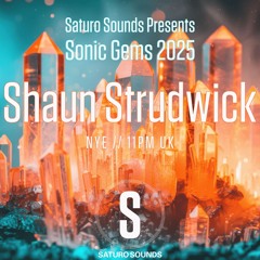 Sonic Gems 2025 - Shaun Strudwick