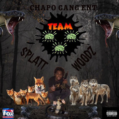 SPLATT WOODZ