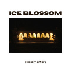 Blossom Enters (ft. kebab boi)