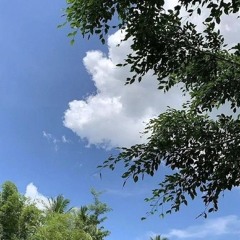 تلاوة طيبة..  القارئ:- هيثم الدخين.