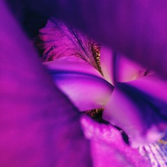Joe Lo:fi - February 2022