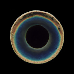 Blackhole (MoM & ANüT Remix)