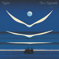 Premiere: Rejoicer - I Think This is Reasonable