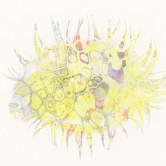 rae - twenty bucks [nephminaj + oli]