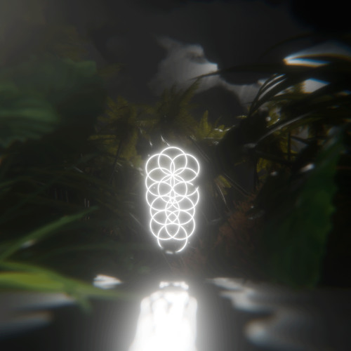 The Way Of The Jungle (Cheers to 1K)