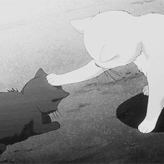ズﾘ丂