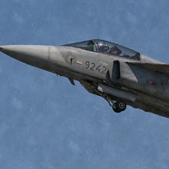 SAAB Gripen JAS 39C Jet - Hungarian AF