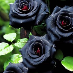 Kho Da Mre Starge Rawarawa Janana Slowed+Reverb Pashto Sad Song  _Laloona lofi.mp3