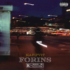 Kap.Pv17- FORINS