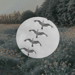 birds ep