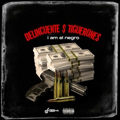 Delincuente Y Tiguerones