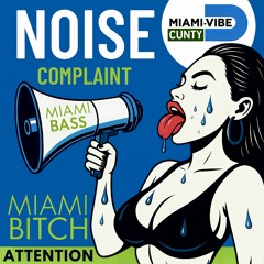 Noise Complaint: Baile Funk, Pop, & Tech House - DJ Maykel