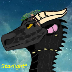 Starlight on the Nightsky🐲