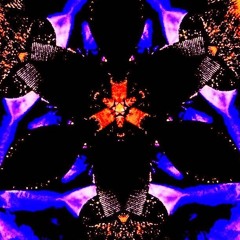 Random Dispersion Patterns