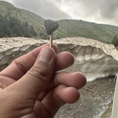 Javed Amirkhail - Oba Oba New Song - Holland Concert.mp3