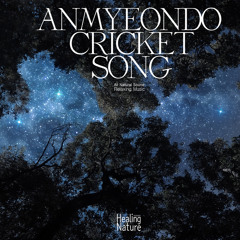 자연이 들려주는 자장가 가을밤의 귀뚜라미 소리 Lullaby Nature's Cricket Sound