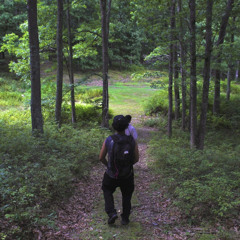 look at the trees- les atari