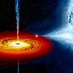 Suspended In Wondering