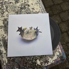 The Birds In You EP - Sampler