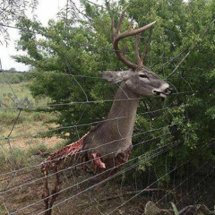 verjährt prod. masor & jolst
